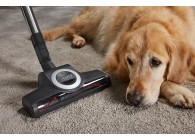 Miele Complete C3 Cat  Dog Flex Power rood stofzuiger