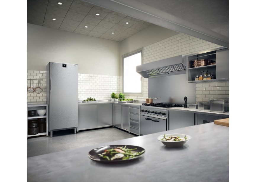 Liebherr FFFCvg 6501-40 202 cm 544 L NoFrost Vrieskast Inox
